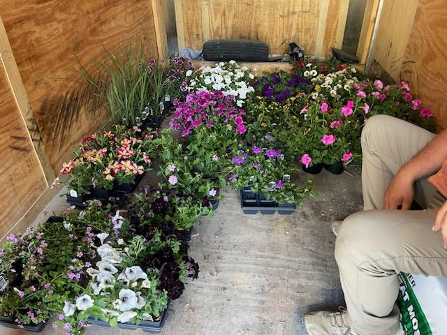 Flowers from Gossett Greenhouse