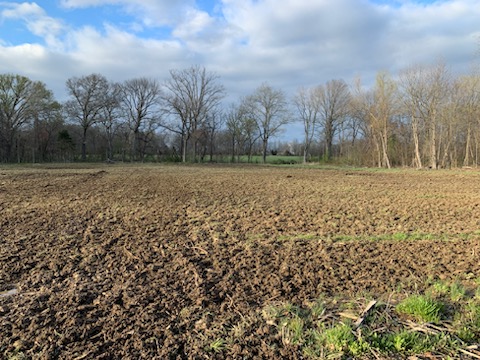 Site for new ball field